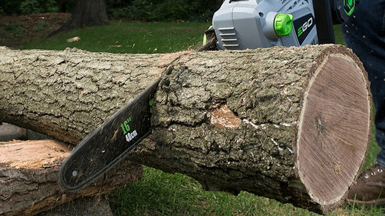 Ego 16-inch chainsaw being used on a large tree trunk