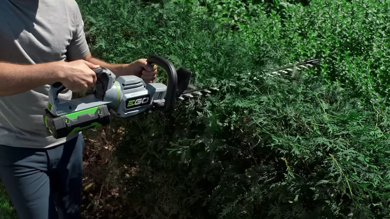 Ego hedge trimmer being used to cut through the top of a hedge bush