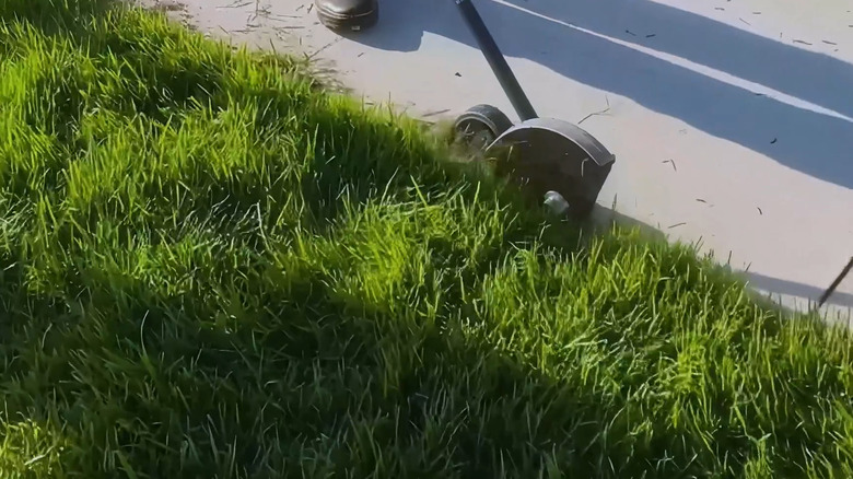Multi-head system with the lawn edger attachment cutting along a lawn on a sidewalk