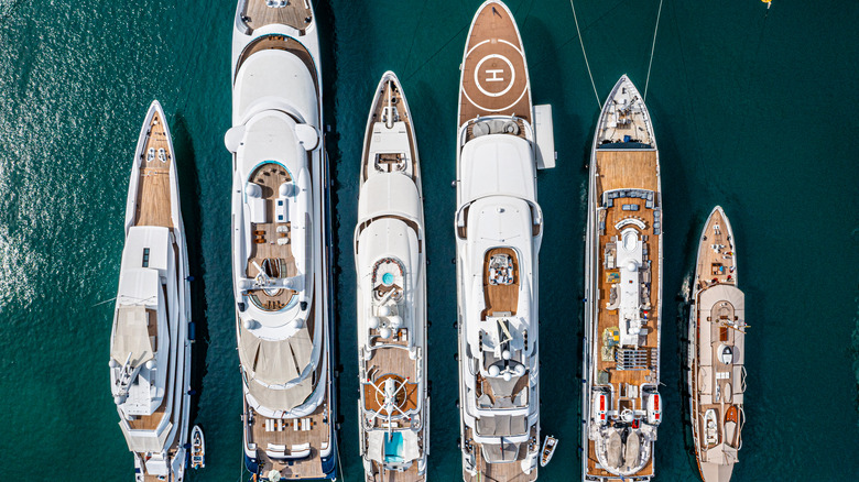 Docked luxury yachts