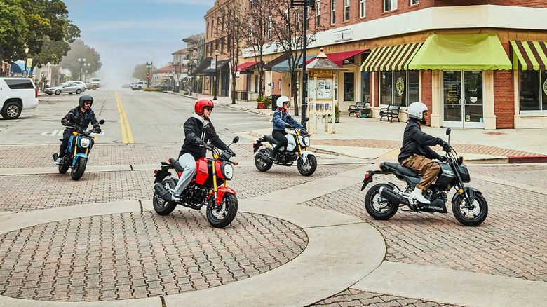 People Riding Honda Groms