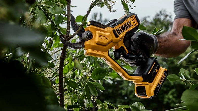 Person using DeWalt pruner
