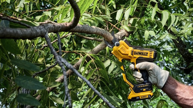 Person using DeWalt pruner