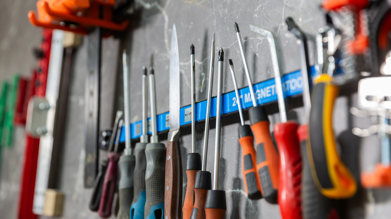 Close-up view of a magnetic strip holding screwdrivers and a knife