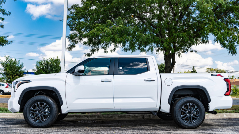 White Toyota Tundra profile shot in front of leafy tree