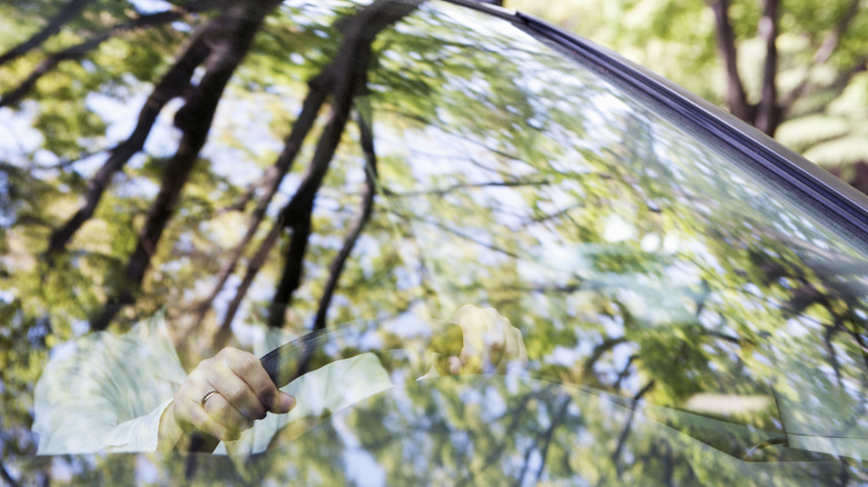 A woman driving past trees that reflect on her windshield.