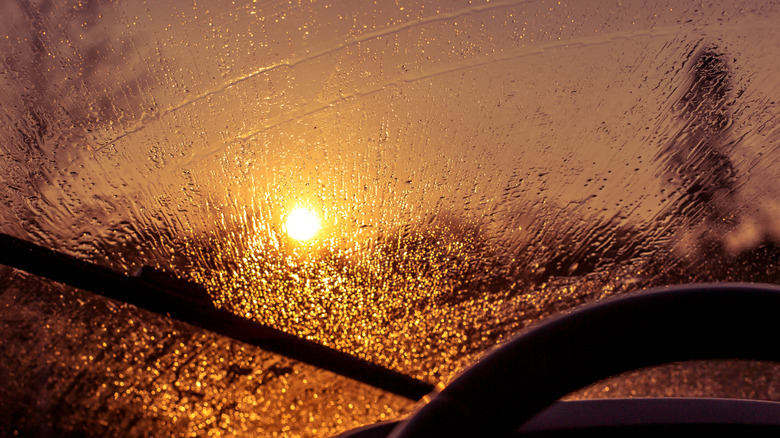 Sun shining on a windshield.