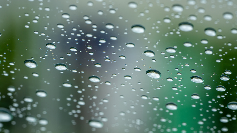 Water droplets on glass.