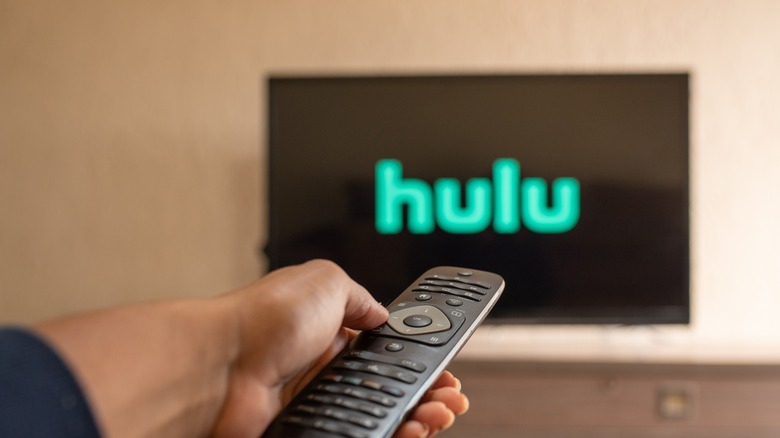 Hulu Logo on TV