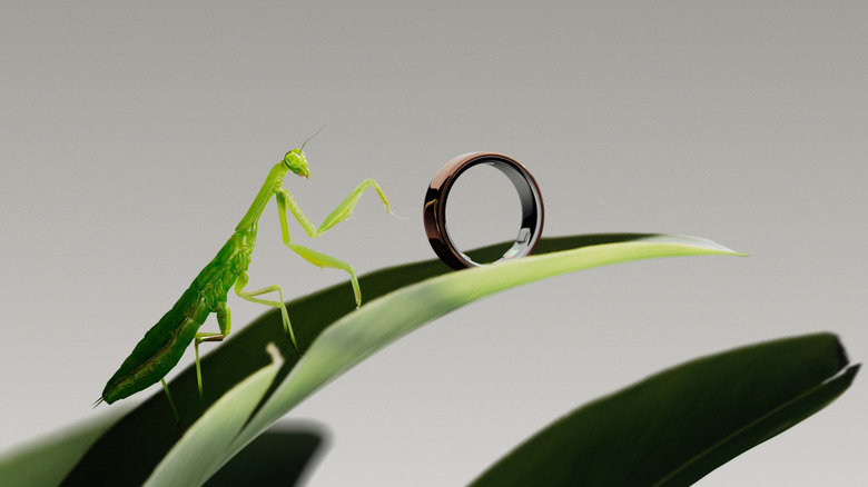 An Oura Ring 5 on a leaf next to a praying mantis