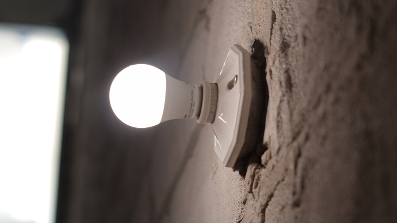 An LED lightbulb lit up on a wall.