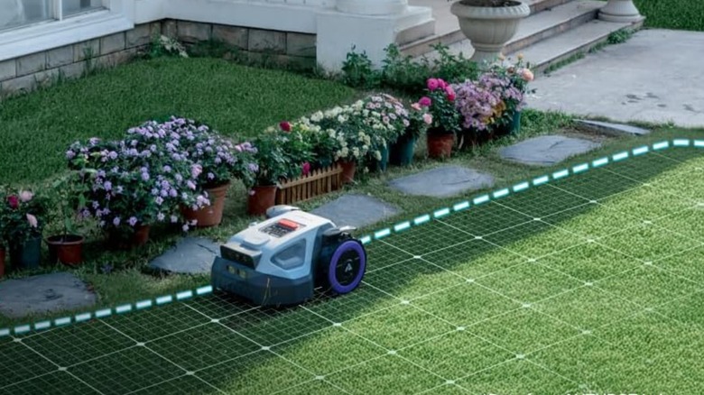 Anthbot mower moving along edge of lawn