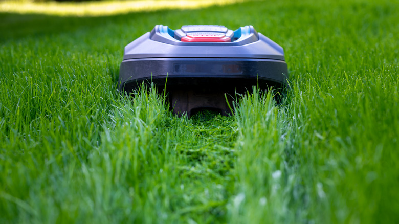 robotic mower in action