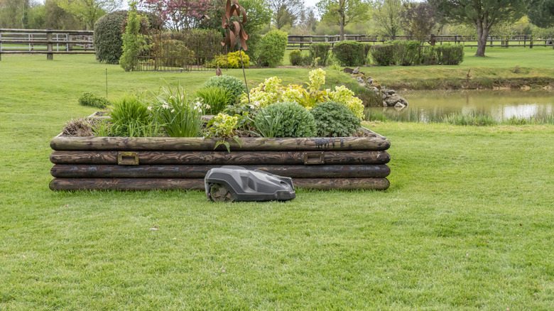 a robotic mower mowing a lawn