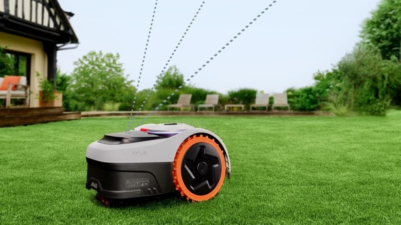 Segway Navimow i206 on grass