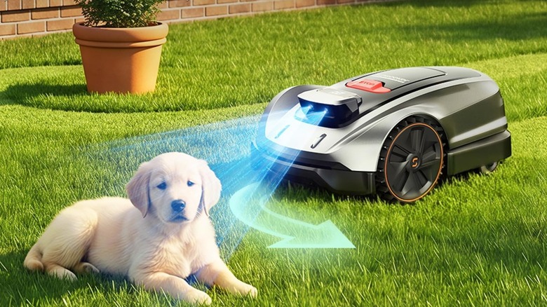 Sunseeker mower avoiding a puppy