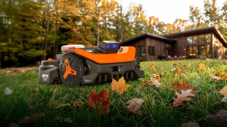 Worx Landroid mower on grass