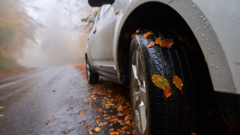 Closeup of vehicle wheel with leaves stuck on it