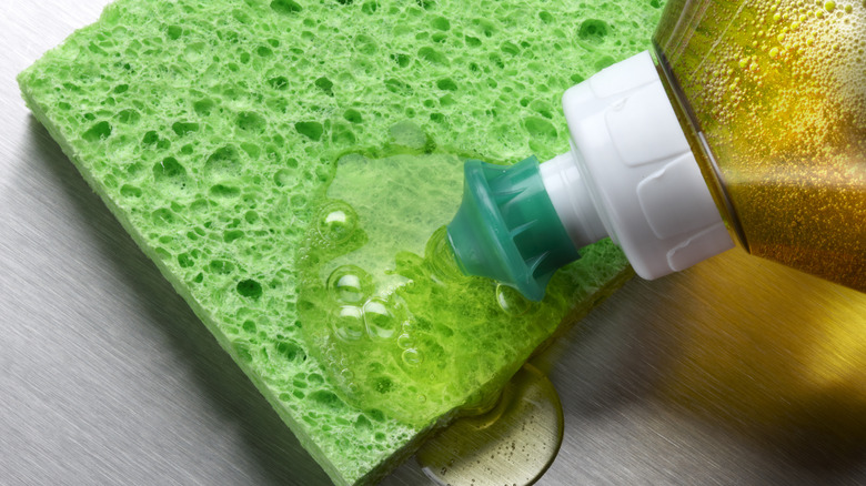 dish soap applied to sponge