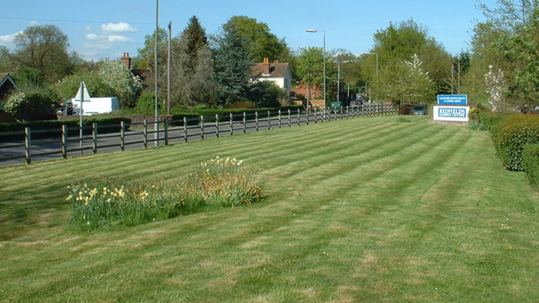 A lawn near a road.