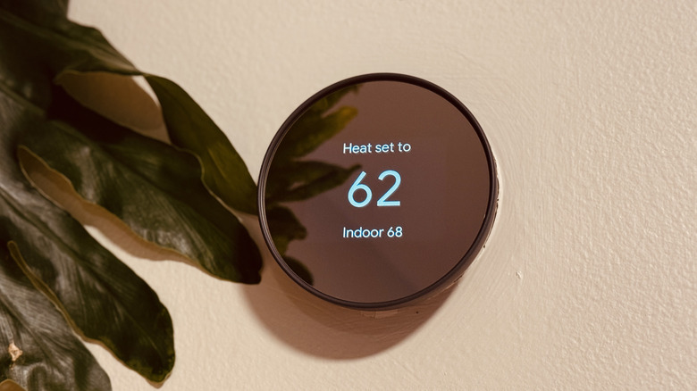 Round smart thermostat on a wall displaying heat set to 62 with plant leaves to the left of it