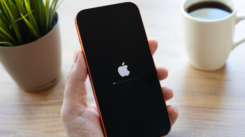 An iPhone turning on, with a loading bar under it near a small potted plant and a coffee mug on a wooden surface