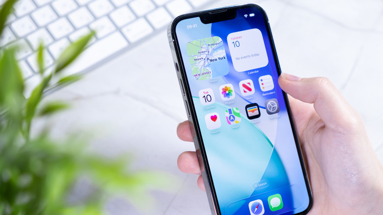 A person holding an iPhone with a focus on the home screen