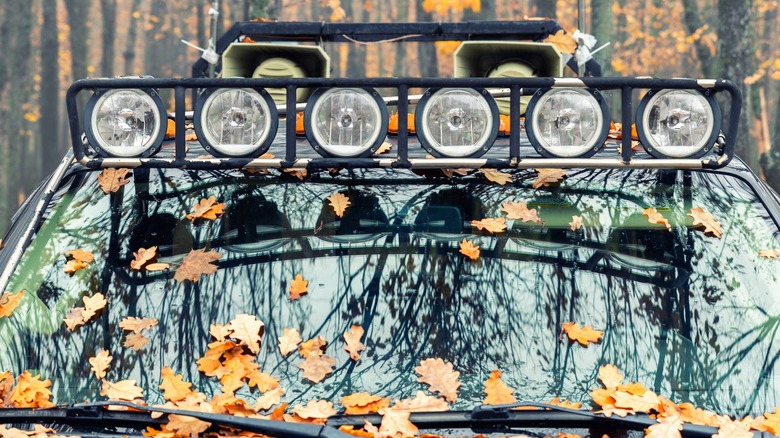 Off road lights