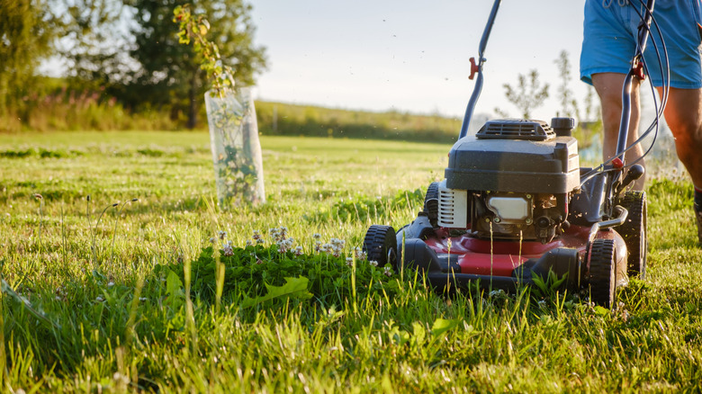 A person running their lawn mower over a field.