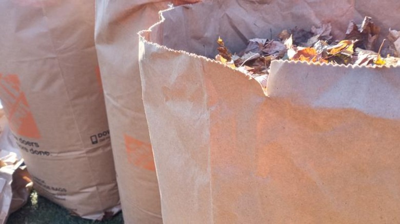 A closeup of Home Depot leaf bags filled with yard waste