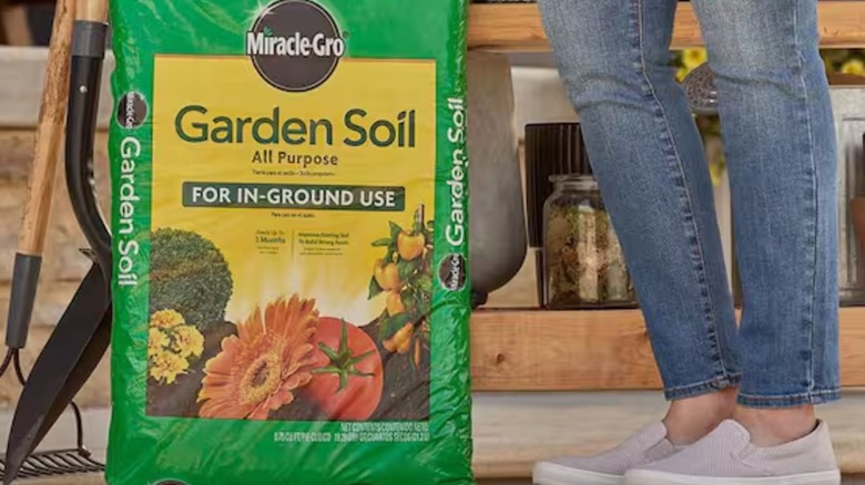 A homeowner standing next to a bag of Miracle-Gro