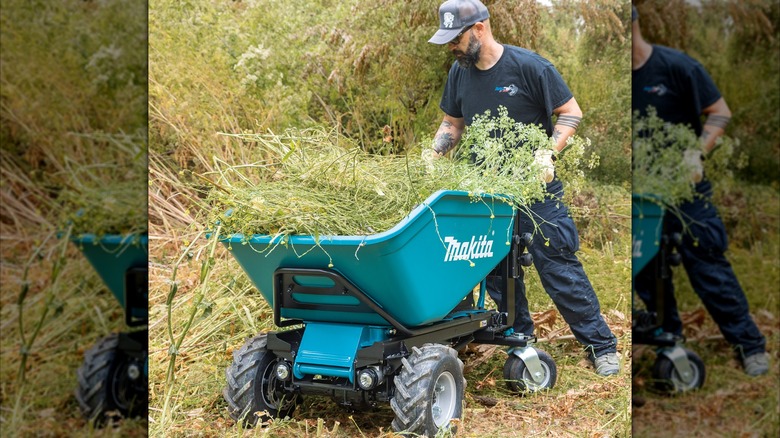 36V LXT Powered Wheelbarrow in use