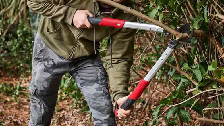 A man cutting a branch with a pair of Milwaukee loppers