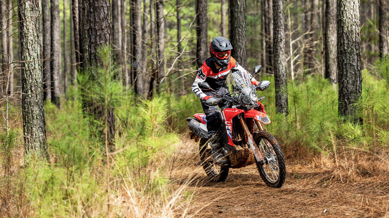 A rider in full color-themed gear and matching helmet on a Honda 300L Rally in a forest during the day.