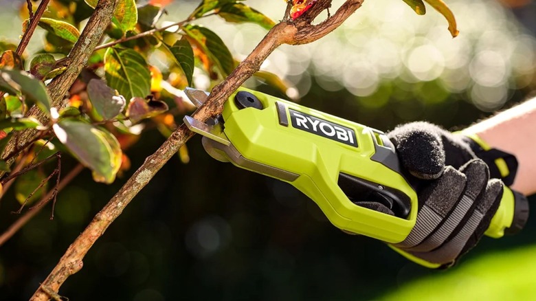 Person using Ryobi FVPS51K Pruning Shears