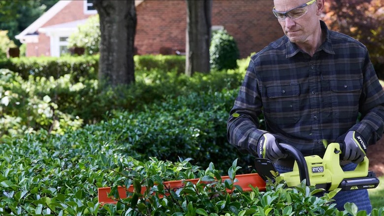 Man using Ryobi RY40HPHG01K Hedge Trimmer