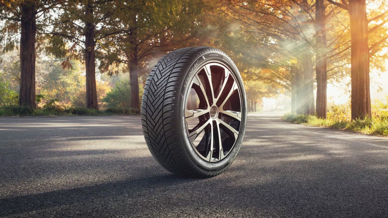 A Hankook Kinergy 4S 2X tire on a road in the woods