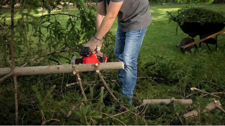 A man cuts a tree with an electric pruner saw.
