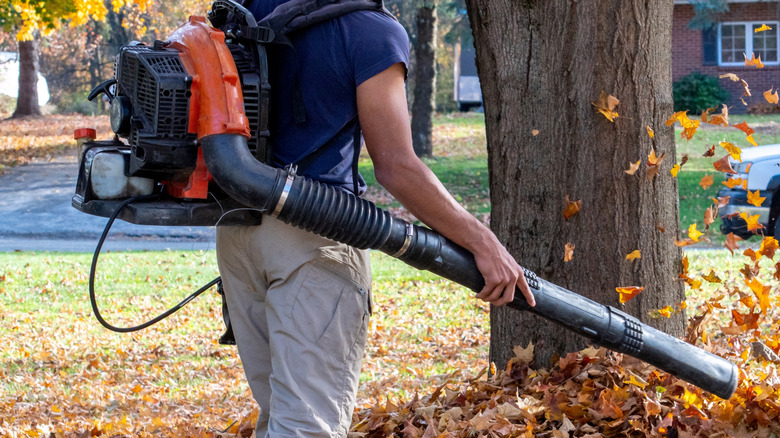View from behind of a person using a backpack blower without visible branding