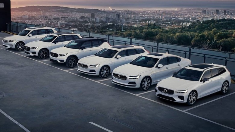 Six different white volvo models in a parking lot against a city backdrop in the evening