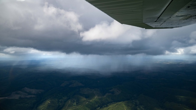 A landscape photo captured from a small plane of a forested landscape and a cloudburst captured using a PolarPro circular polarizer.