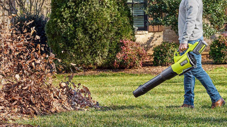 A person blows away dry leaves with the 40V HP Brushless 800 CFM Whisper Series Blower.