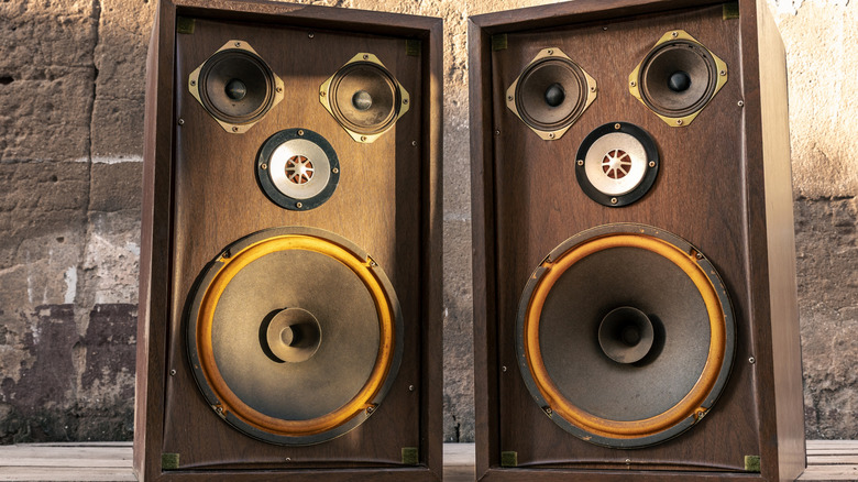 Two vintage loudspeakers, angled inwards.
