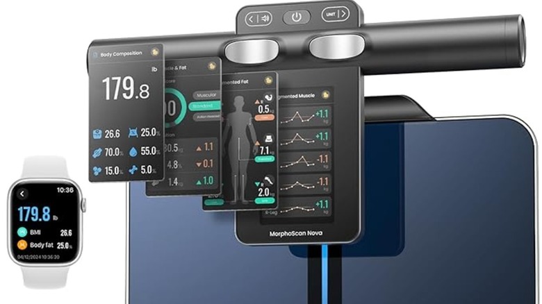 Product image of the RENPHO smart scale