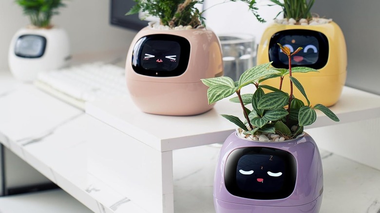 A variety of Plantsio Smart Pet Planters with various expressions.