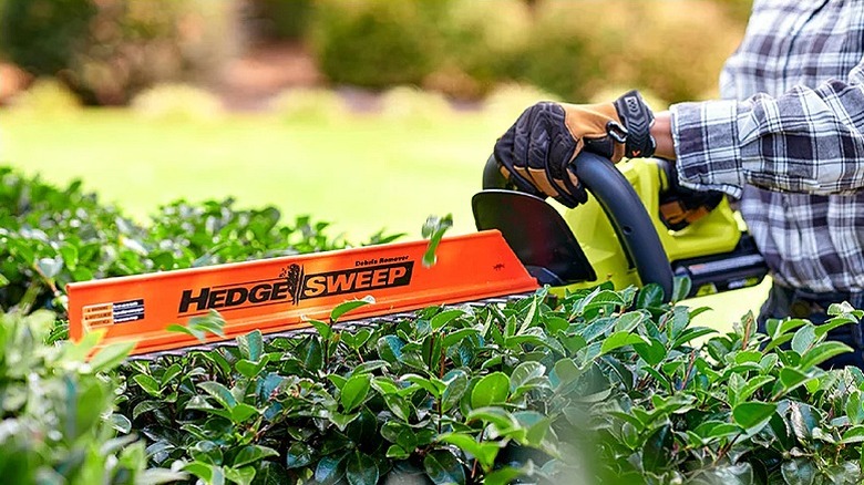 Man using a hedge trimmer to shape bushes.