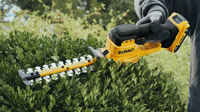 DeWalt hedge trimmers cutting a but close up