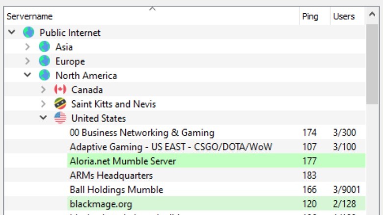 A server list in Mumble