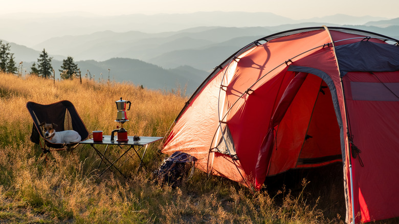 Camping site on a picturesque hillside, dog sitting on chair.