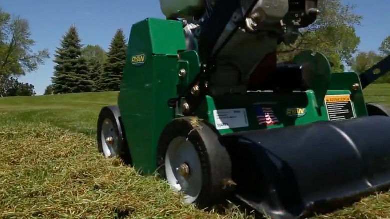 Ryan Turf Dethatcher/Power Rake in use